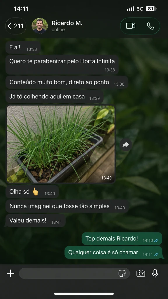 Conversa de WhatsApp de Ricardo M. colhendo cebolinha em casa