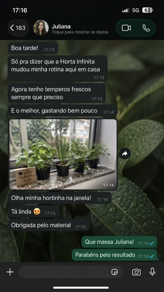 Conversa de WhatsApp de Juliana com vasinhos de temperos na janela