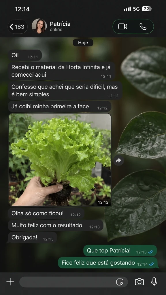 Conversa de WhatsApp de Patrícia colhendo sua primeira alface