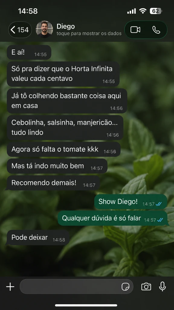 Conversa de WhatsApp de Diego colhendo temperos frescos em casa