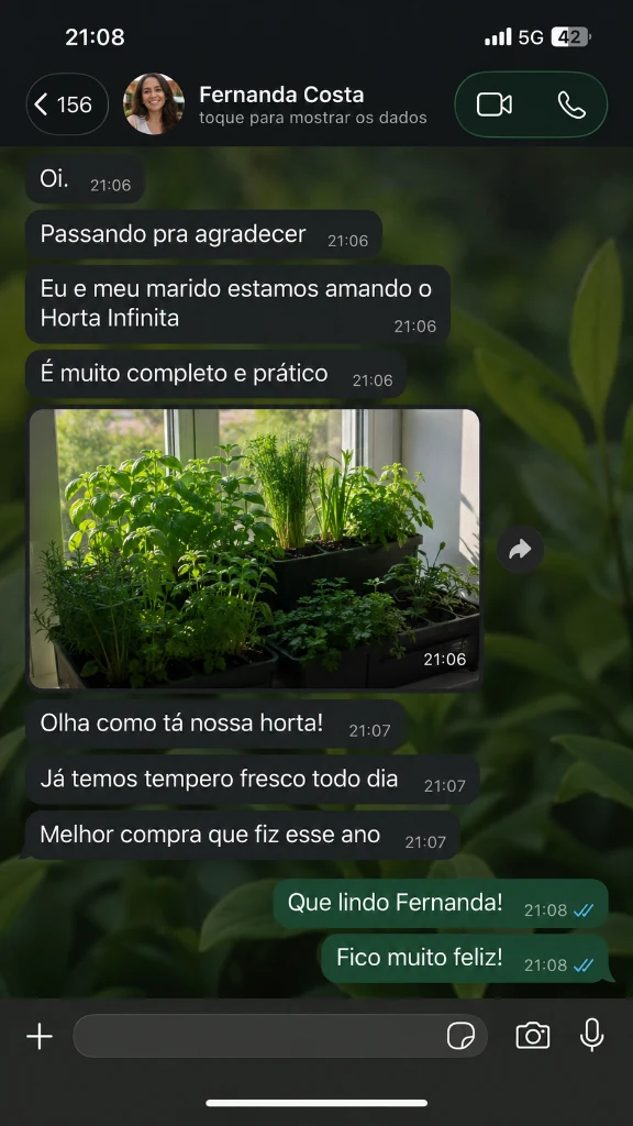 Conversa de WhatsApp de Fernanda Costa com temperos frescos na janela