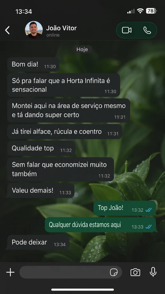 Conversa de WhatsApp de João Vitor com horta na área de serviço