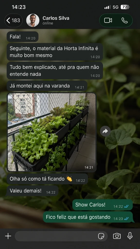 Conversa de WhatsApp de Carlos Silva com jardineiras na varanda